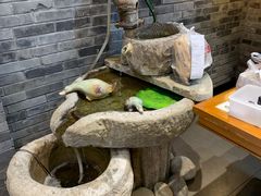 -好嫂子酱猪手•农家菜(学院南路店)