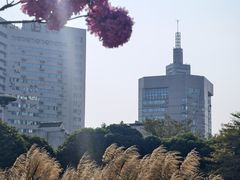 -南宁南湖公园
