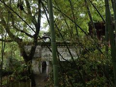 -南山植物园