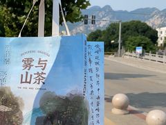 -雾与山茶(大禹城店)