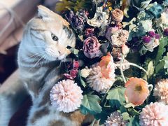 -花与咖啡馆(金星楼店)