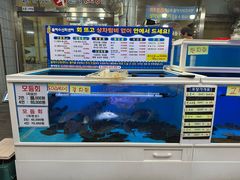 -西归浦每天偶来市场