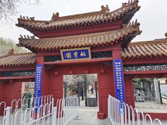 -桃花堤公园