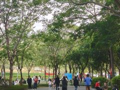 -火炉山森林公园