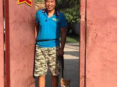 -宠物寄养训练学校