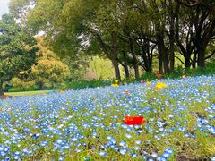 -上海滨江森林公园