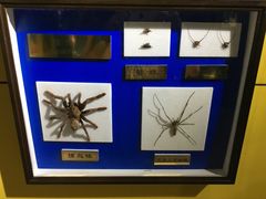 -上海昆虫博物馆