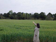 -中国天府农业博览园