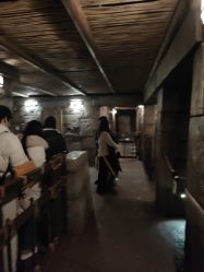 -翱翔飞越地平线