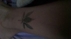 -XTATTOO海娜手绘