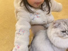 -猫友咖啡店(玉林西路店)