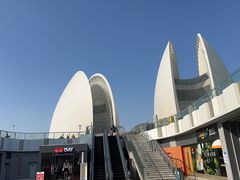 -野狸岛