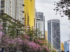 -柳侯公园