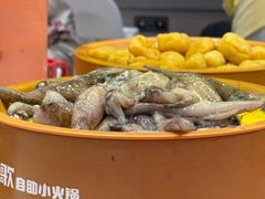 -龍歌自助小火锅(崂山丽达店)