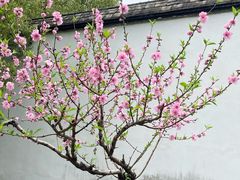 -乌山风景区