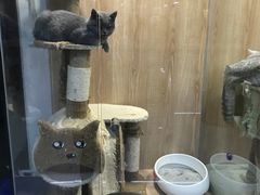 -米卢宠物公园(广华居店)