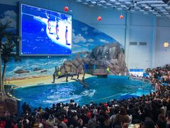 -福州罗源湾海洋世界旅游区