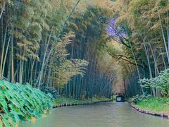 -同里国家湿地公园