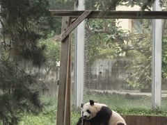 -西安秦岭野生动物园