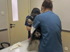 -爱妮康宠物医院·干细胞免疫细胞·肿瘤·心脏(张江店)