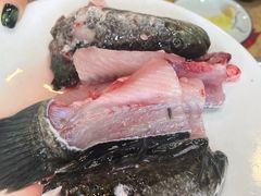 -活鱼馆(宜兴埠店)