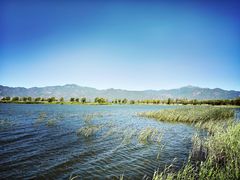 -野鸭湖国家湿地公园