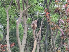 -黔灵山公园-南门售票处