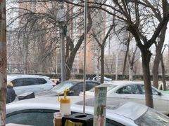 -巴依老爷新疆美食(潘家园店)