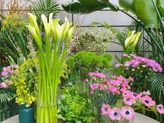 -PlantsEatery·植物食堂(REX春熙店)