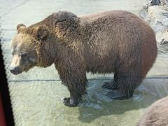 -北京野生动物园