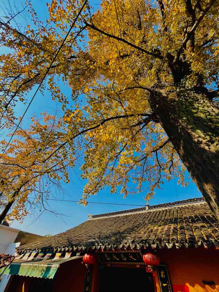 南七宝寺-"在七宝老街看到了这个寺庙,带着浮躁的心情.