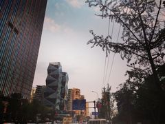 -蜀中吴养生板栗鸡(会展店)