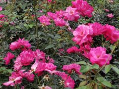 -人民公园(罗湖区)