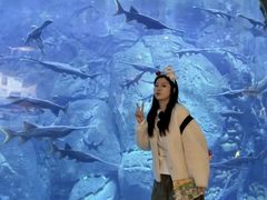 -郑州银基国际旅游度假区