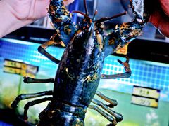 -富港会·海鲜酒楼(墟沟店)