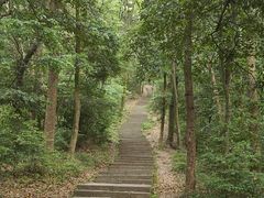 -西湖风景区十里琅珰-五云山