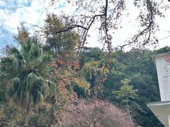 -广东温泉宾馆