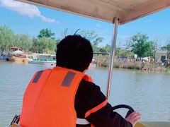 -上海长兴岛郊野公园