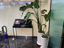 -时尚殿堂salon