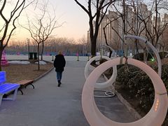 -枫花园汽车电影院(朝阳公园店)