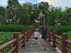 -长兴太湖图影湿地文化园