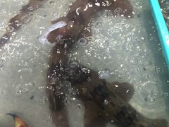 -渔傅·蓝海岸霞浦海鲜(正祥店)
