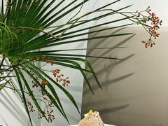 -Fridi Patisserie Cafe