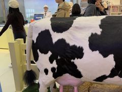 -红星前进面包牛奶公司(君太店)