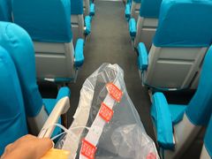 -龙阳路磁悬浮列车总站-停车场