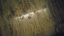 -毛毛虫儿童摄影馆