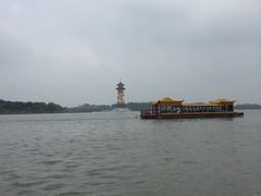 -溱湖国家湿地公园