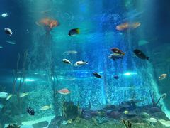 -沈阳海洋探索中心