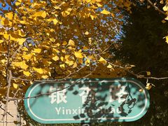 -辽宁大学(崇山校区)