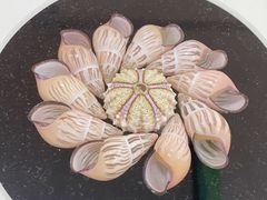 -摩登百货(岗顶店)